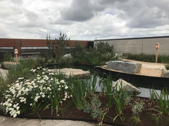 Roof Garden Soils