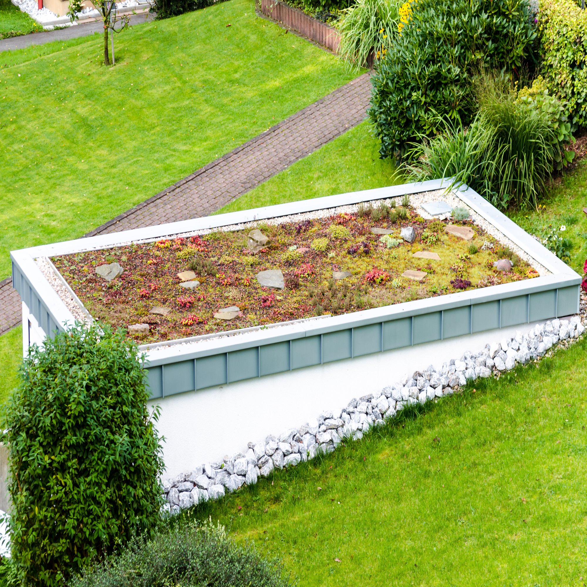 Green Roof Garden Sedum Vegetation