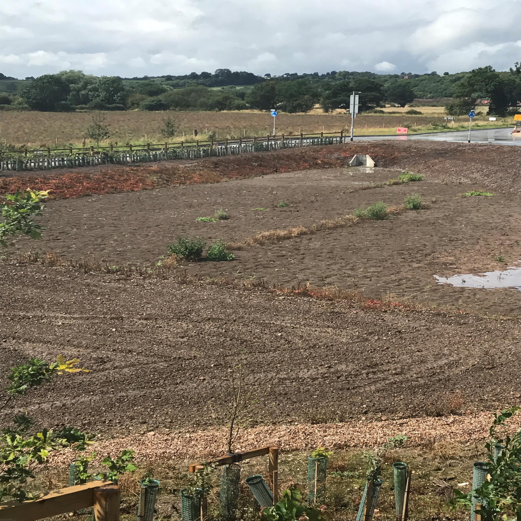Greentree Rain Garden Filter Medium Roof Garden Soils Greentree