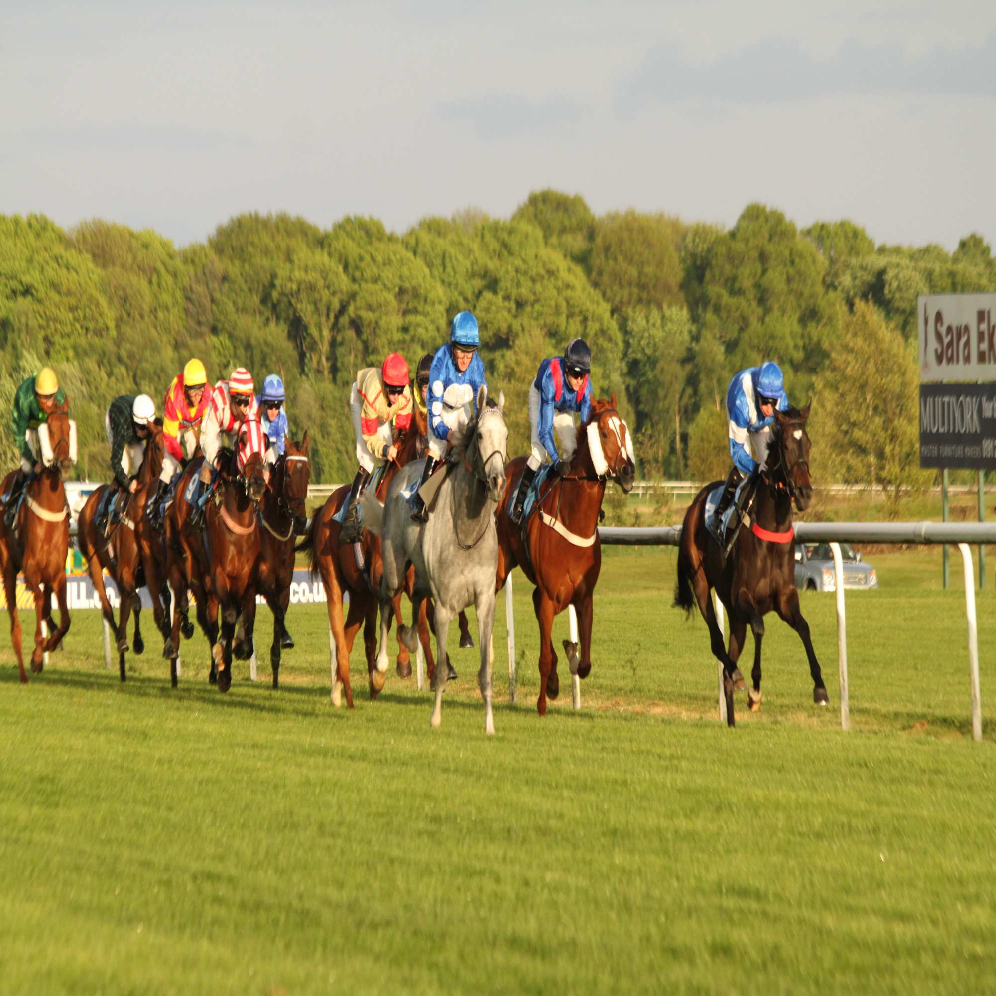  Green-tree Sportsmix Just The Remedy At Newcastle Racecourse